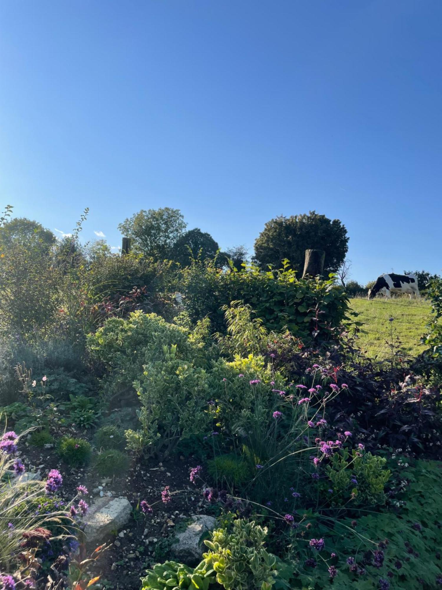 Les Charmes De Villers Huchenneville Esterno foto